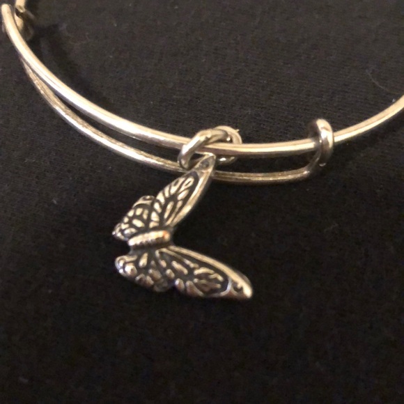 🦋Alex and Ani 🦋 Charm Bracelet - Picture 2 of 6